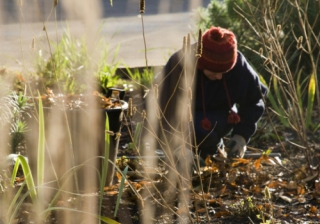 Top tips to keep your garden alive this winter Garden winter 780