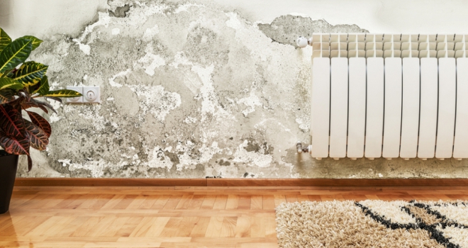 Top tips to deal with winter damp Damp 833