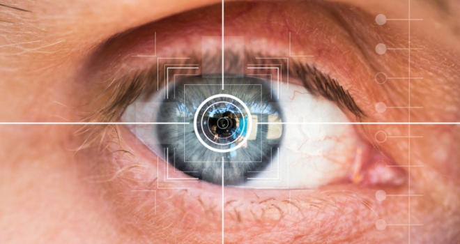What do buyers really look at when viewing a property? Eye tracking 552