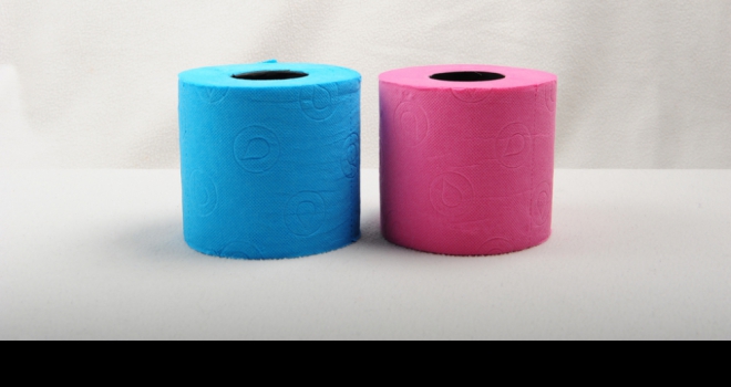 How many toilets do we really need? toilet