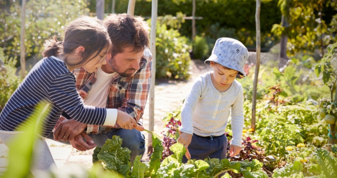 Demand for allotments is growing Allotment 381