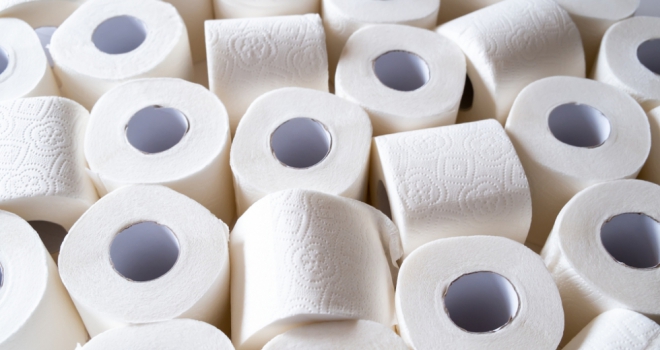 How many toilet rolls do you need to buy a house in the UK? Toilet rolls 559
