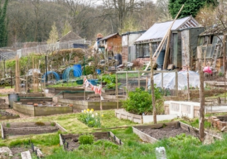 Allotment land has the potential of unlocking 200,000 new homes across England allotment 249