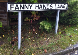Fanny 808