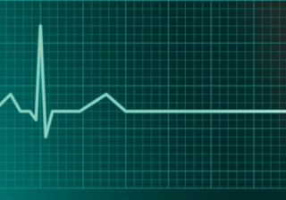 Flatline 553
