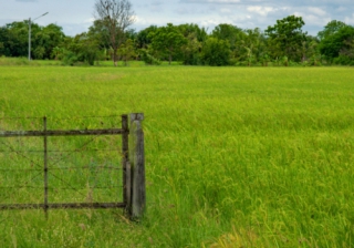 Demand high among developers for land and farming plots Land 803