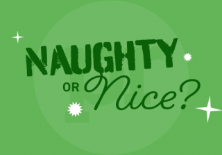 naughty nice christmas 23