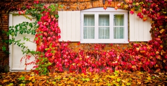 Top tips to get your home Autumn-ready Top tips to get your home Autumn-ready