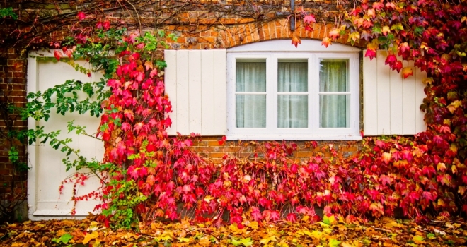 House Autumn