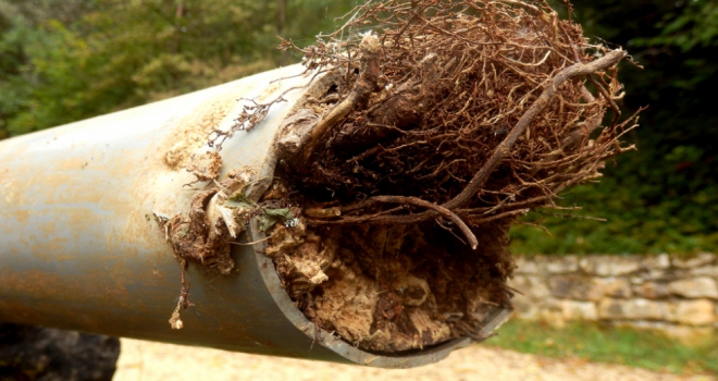 So, you've got a blocked drain. Now what? Blocked Pipe 379