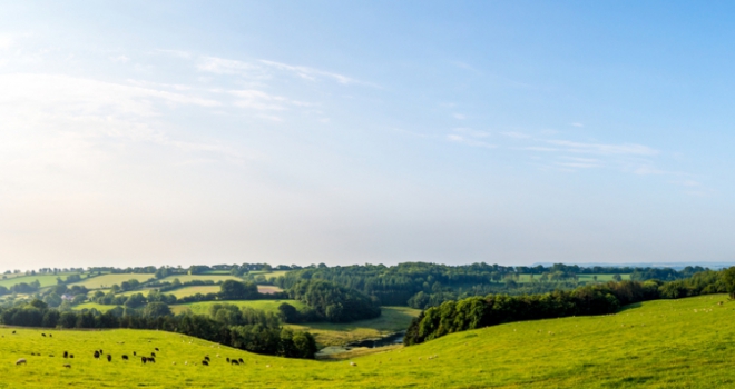 Is the grass greener? - Over half of rural residents eyeing a move due to pandemic Counrtyside 101