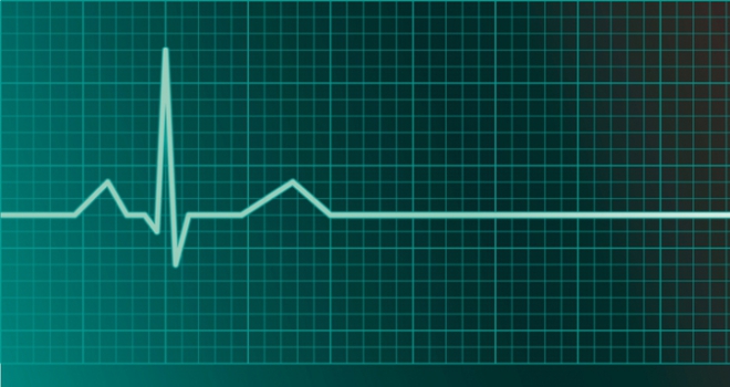 Stock surge sees prices flatline Flatline 553