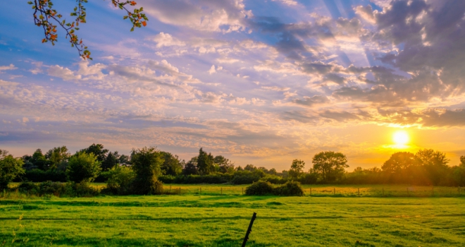 Lockdown catapults National Park property premium to £155k New Forest Hampshire 555