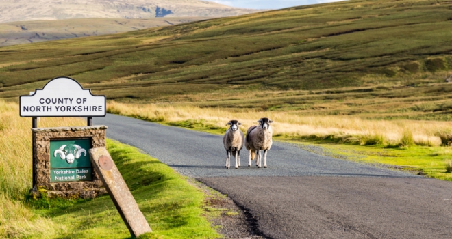 Top 20 areas of North Yorkshire’s rental market revealed North Yorkshire 345