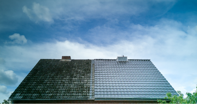 Protecting buildings against the effects of climate change protect building 610
