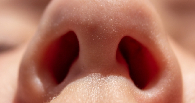 Top 10 smells that will sell your house fast Nose 111
