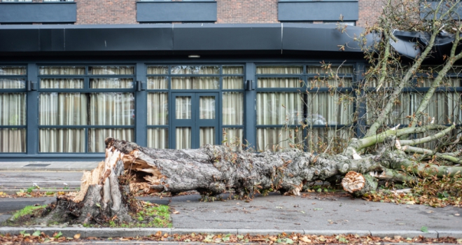 How tech is redefining property insurance in the age of climate uncertainty Storm Damage 266