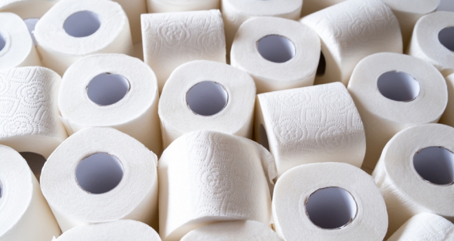 Toilet rolls 559