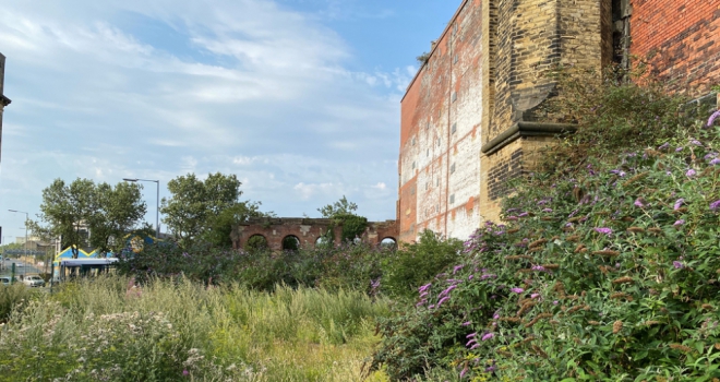 Value of England and Wales' infill sites exceeds £250bn Waste ground UK 824